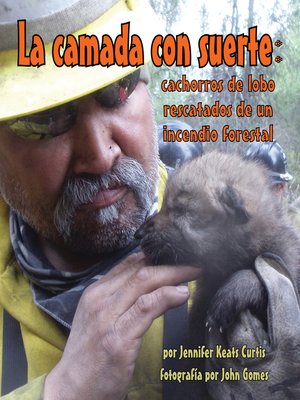 cover image of La camada con suerte